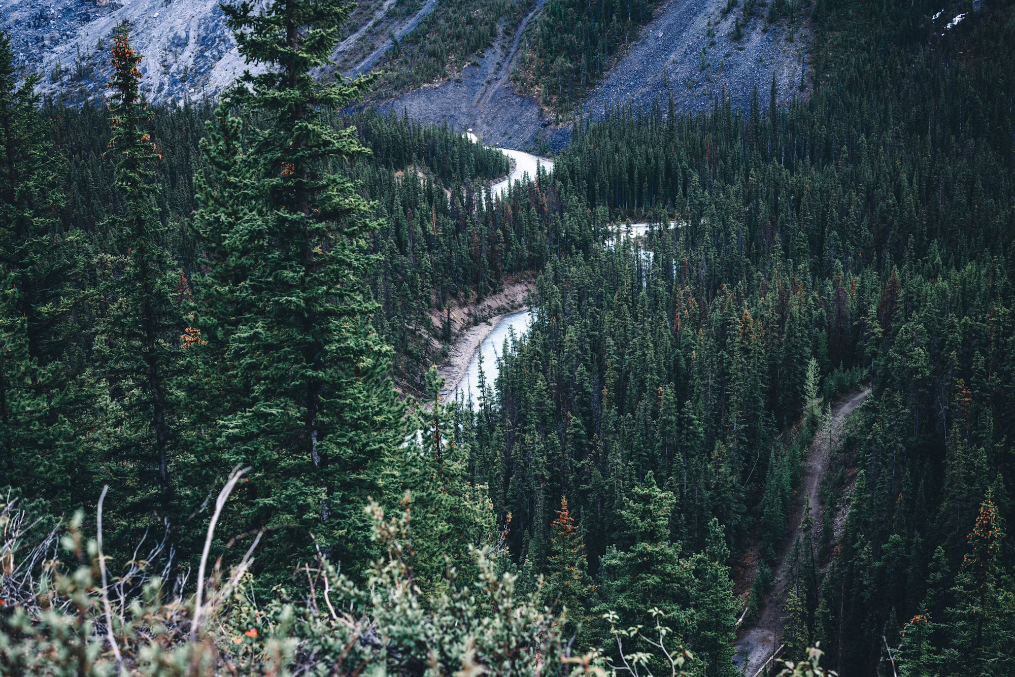 Camping for All: Discover the Joy of Outdoor Adventures